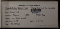 Image Associated With the Occurence